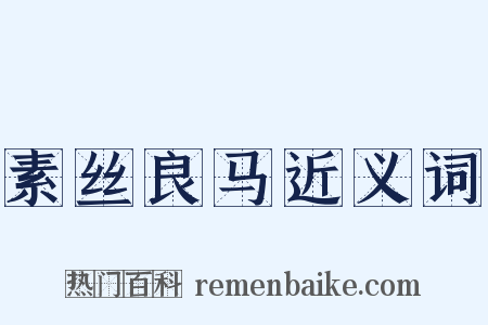素丝良马近义词是什么意思的图片